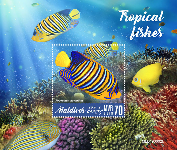 Tropical fishes - Issue of Maldives postage stamps
