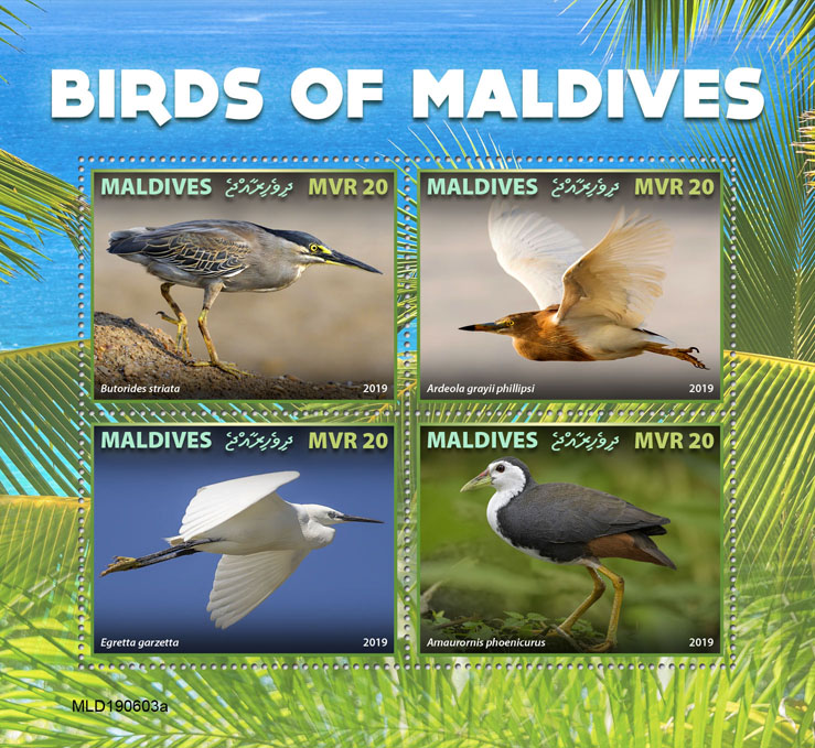 Birds of Maldives - Issue of Maldives postage stamps