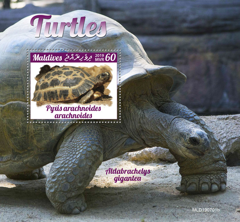 Turtles - Issue of Maldives postage stamps