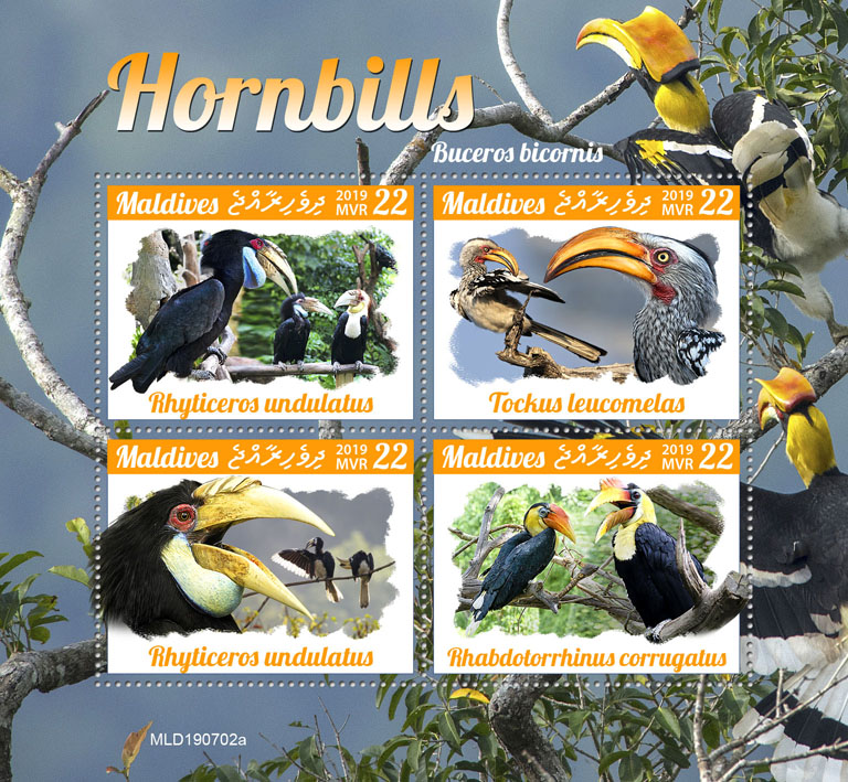 Hornbills - Issue of Maldives postage stamps